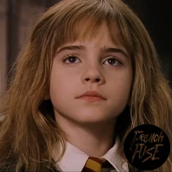 Harry Potter Rap Remix (FR)