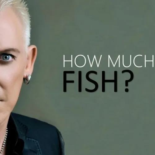 How Much Is The Fish?(Radio Edit)