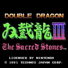 Double Dragon 3 - Theme